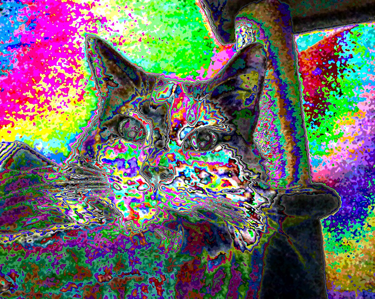 ten twentythree 🔮 tweet media