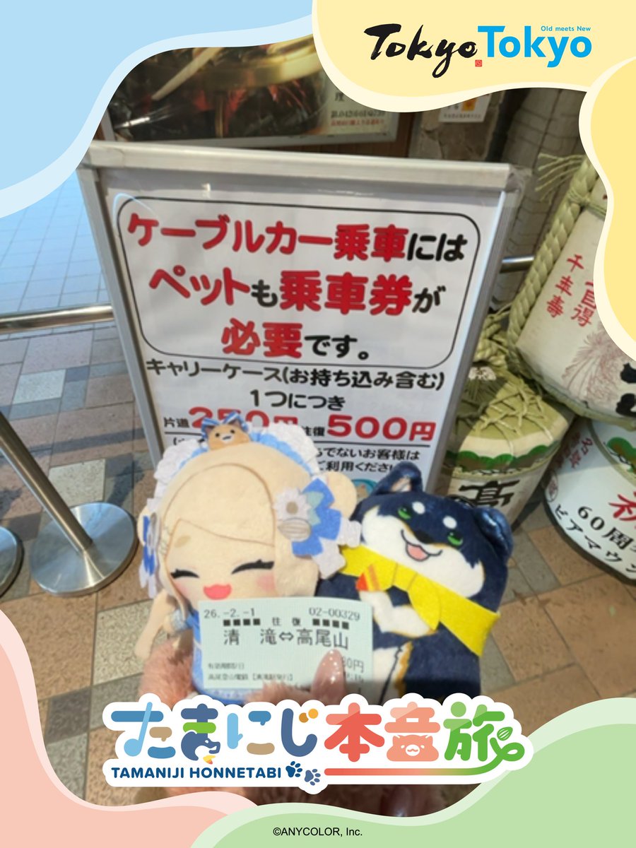 withfluffy_'s tweet image. 朝活高尾山来たよ〜〜🫶🏻
しばちゃんの乗車券も必要かなって思ったけどぱぺなので不要でした、よかった〜(なに？)

 #たまにじ本音旅 #TokyoTokyo