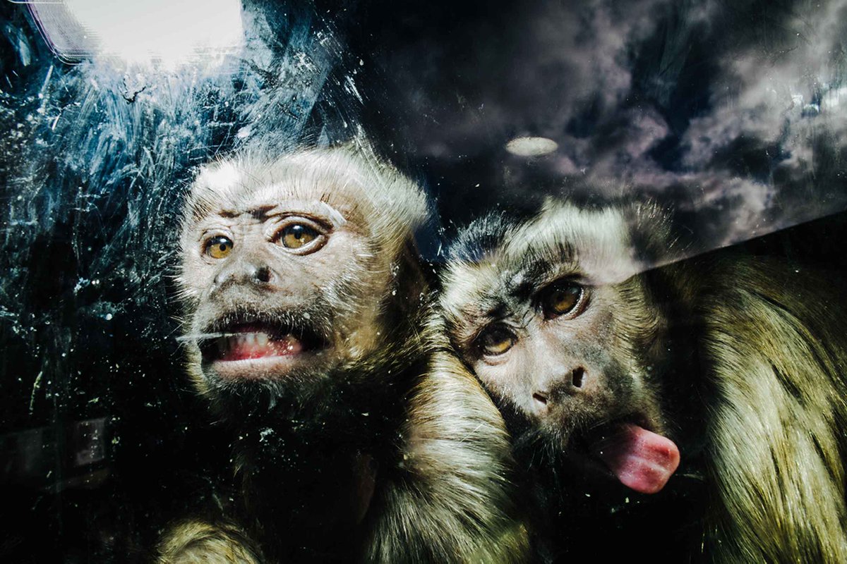 RevokePhoto's tweet photo. One half of the much acclaimed Bragdon Brothers, Gareth Bragdon is an American street and documentary photographer currently based in Maryland. https://t.co/0Fx1cYq9BZ