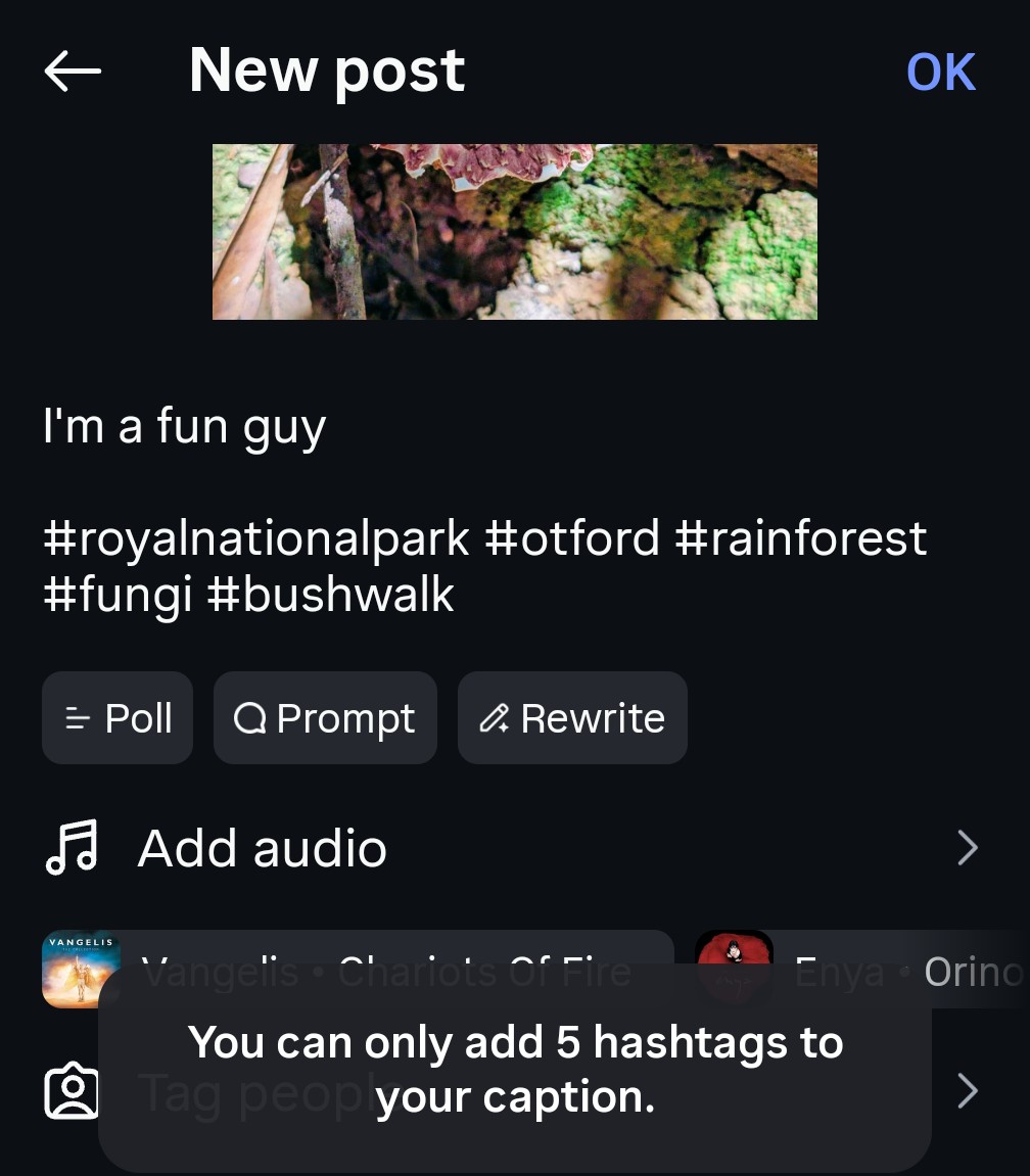 trashyhonky's tweet image. So what's the deal here on instagram with only a limited number of #hashtags allowed?