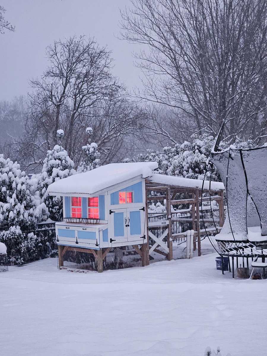 Keeping my Chickens 🐔 warmth in this crazy weather, Charlotte NC