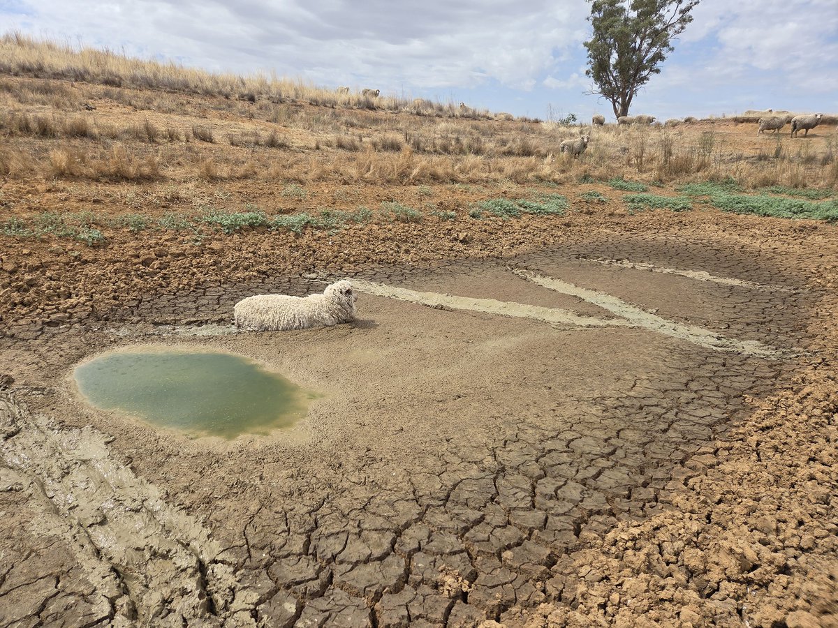 Mark Mortimer tweet media