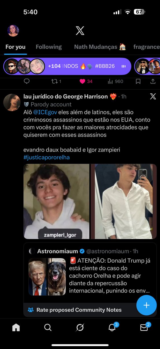 sil_iizuka's tweet photo. @hispanicnomad It’s a cool city but if you go to Praia Brava watch out for the rich white teenagers that kill and torture dogs. They do it at night and they don’t get punish because their parents pay the police. They just killed the dog Orelha #JustiçaPorOrelha #FEDERALIZAÇÃODOCASOORELHA https://t.co/ARvLAtCL4e