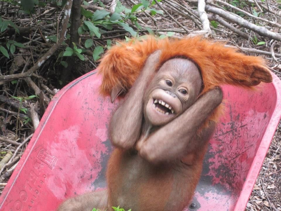 Me after Finding out that changing my perspective on things  actually helps me find solace and healing #Hehe #Yayyyy