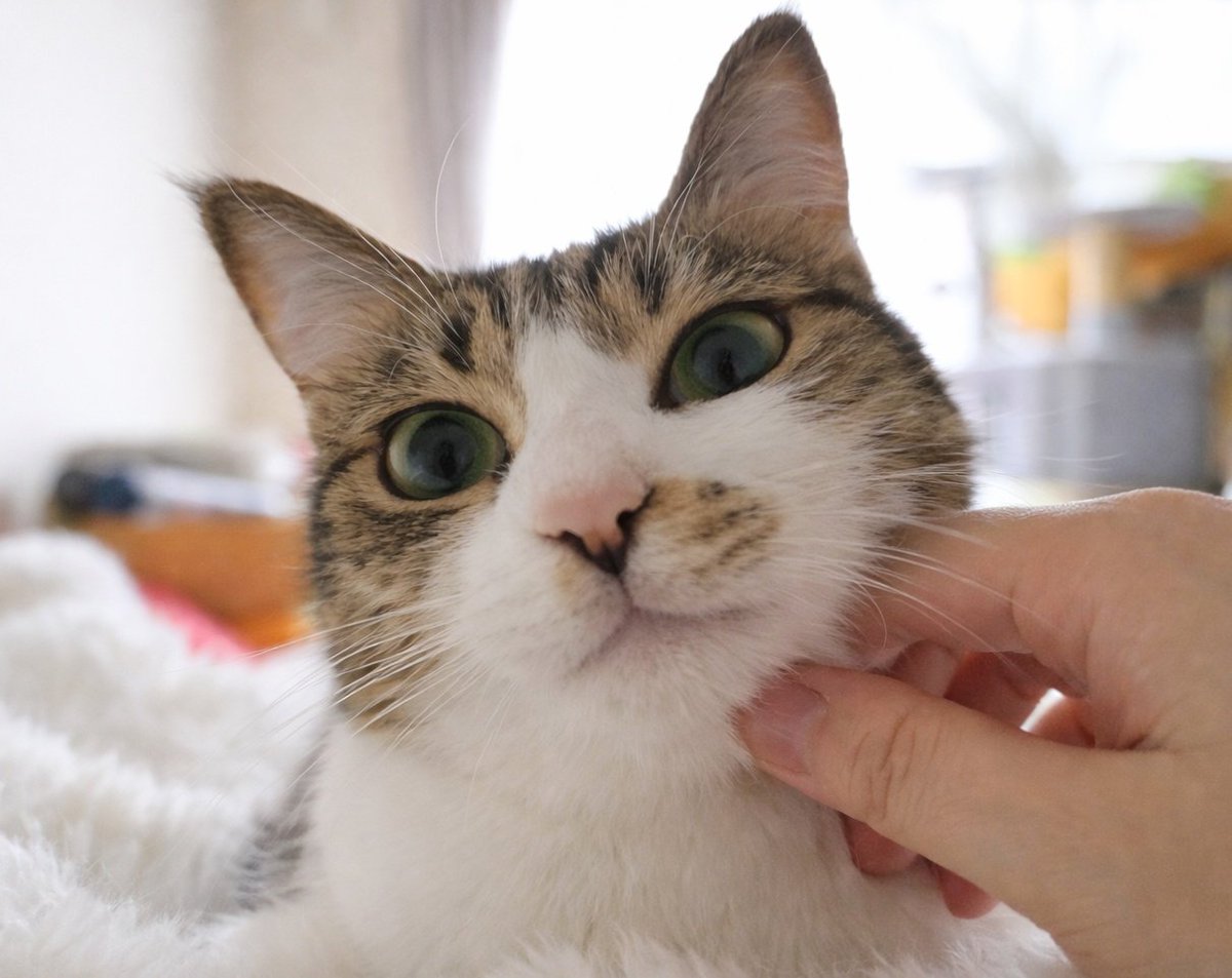 まりもちゃん！と🧌 (@marimo2021915) / Posts / X