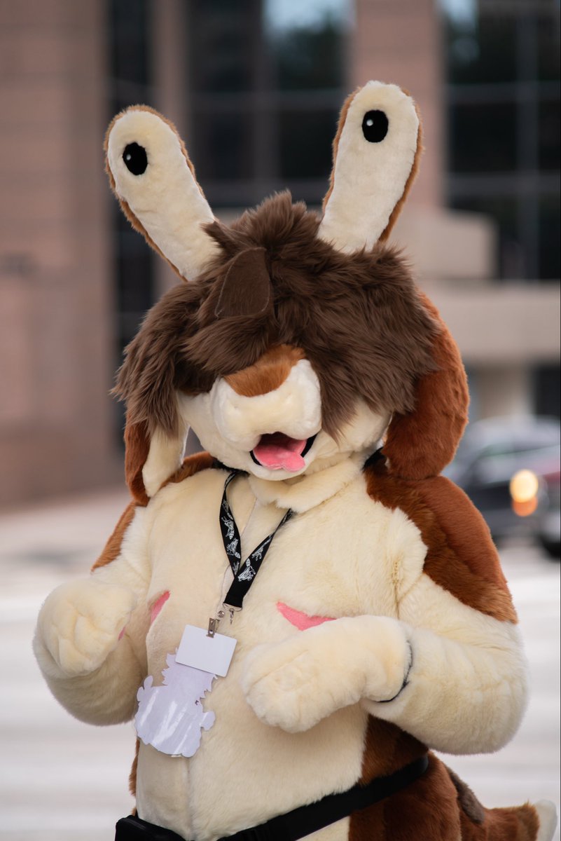 Randy 🐾🐌 tweet media