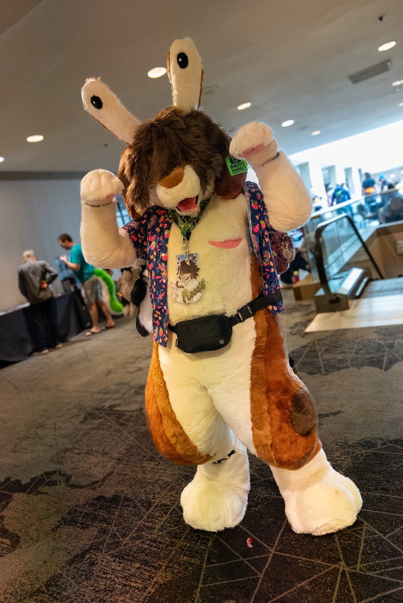 Randy 🐾🐌 tweet media