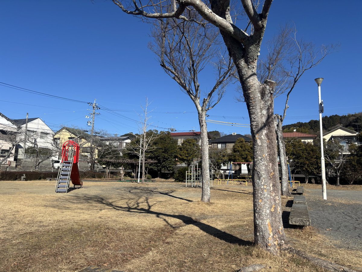 三岳OTP🍎 tweet media