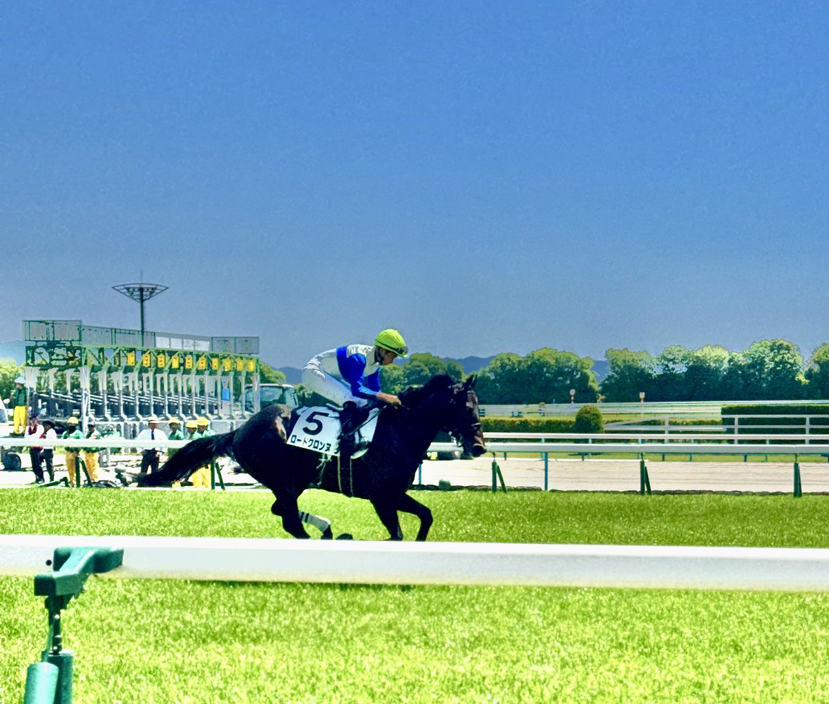 Np9Cc's tweet photo. 今日も今日とて京都競馬へ
まだ未勝利の頃に、光り輝いてたロードクロンヌを貼っておきます（4着）

#京都競馬場パシャリ部 https://t.co/MB9leZKLBW