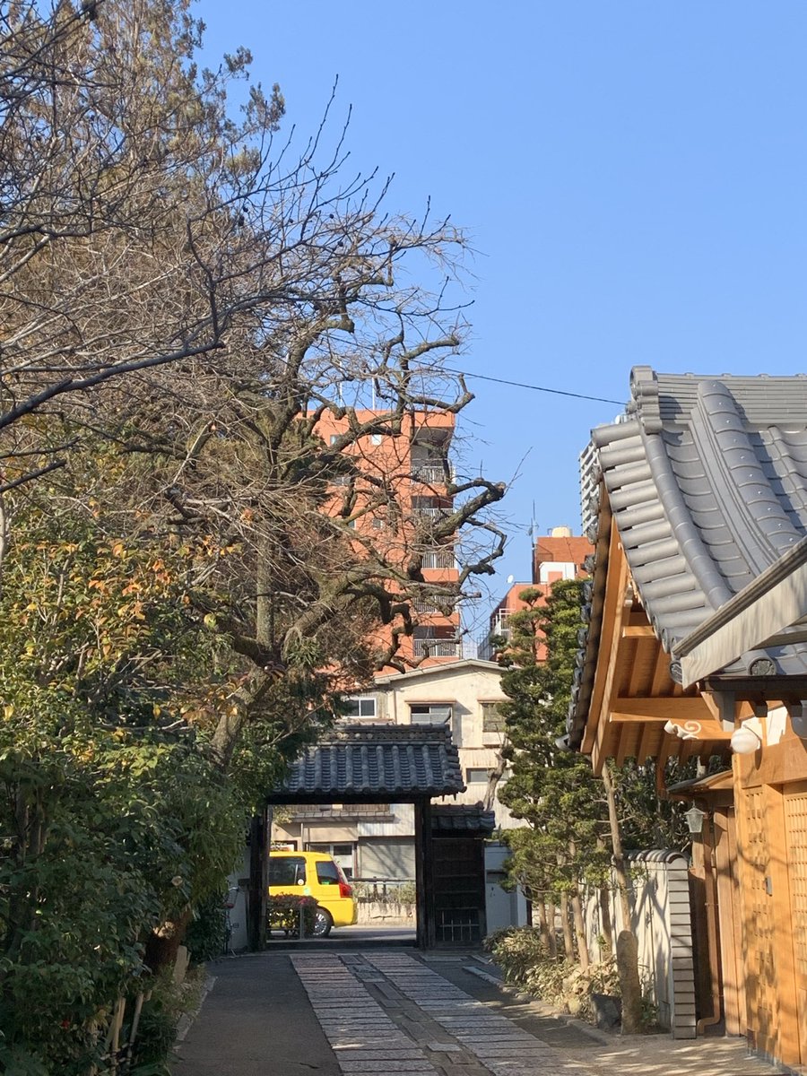 2月1日、千秋楽の朝です。
岡山は快晴。空気が美味しい〜

＃一角獣の六感