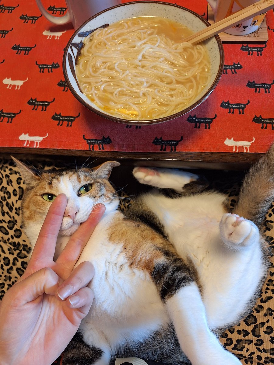 たまごにゅうめんたべました