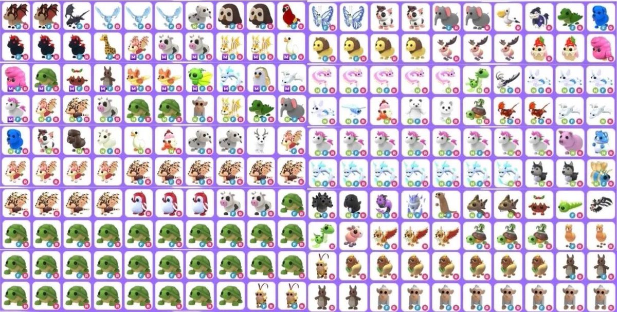 🦄 FT/FS ADOPT ME PETS 

💳 FOR: RH Halos &amp; RHD / Gcash / Paypal / Cash App / Remitly / Wise / Moneygram / Apple Pay

📩 DM ME NOW! — KAI SHOP <a href="/kspvoooo/">KAI SHOP | OPEN! ☆ 400+ PROOFS</a>