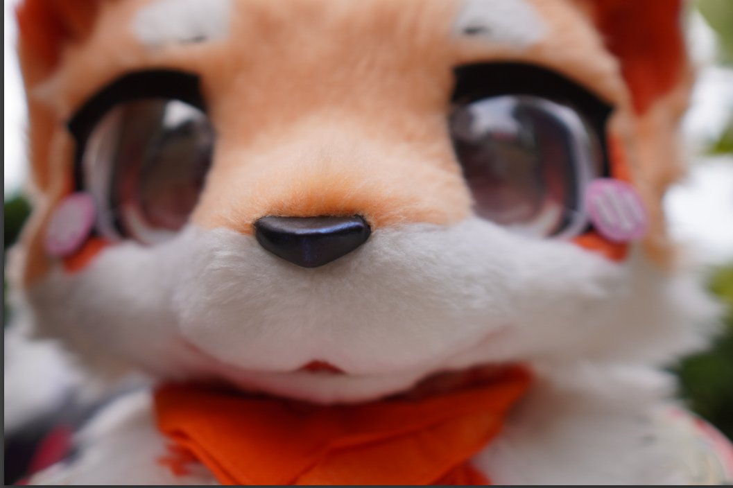 狄秋秋狄 tweet media