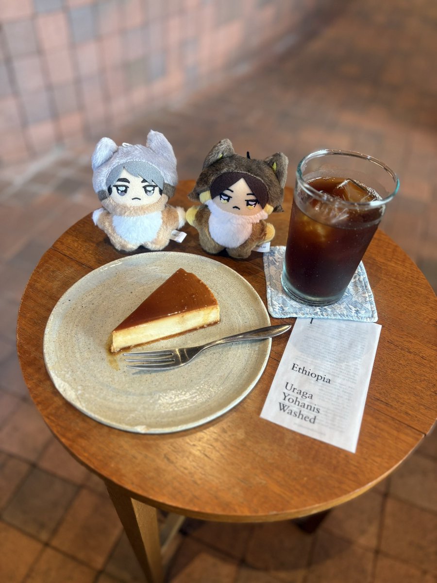 teappll's tweet photo. ☕️〜🍀
#うちのちみけも https://t.co/aj55mrCRrJ