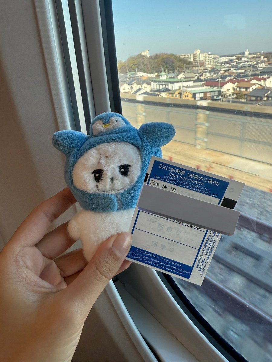 福岡へゆく‼️‼️‼️✨