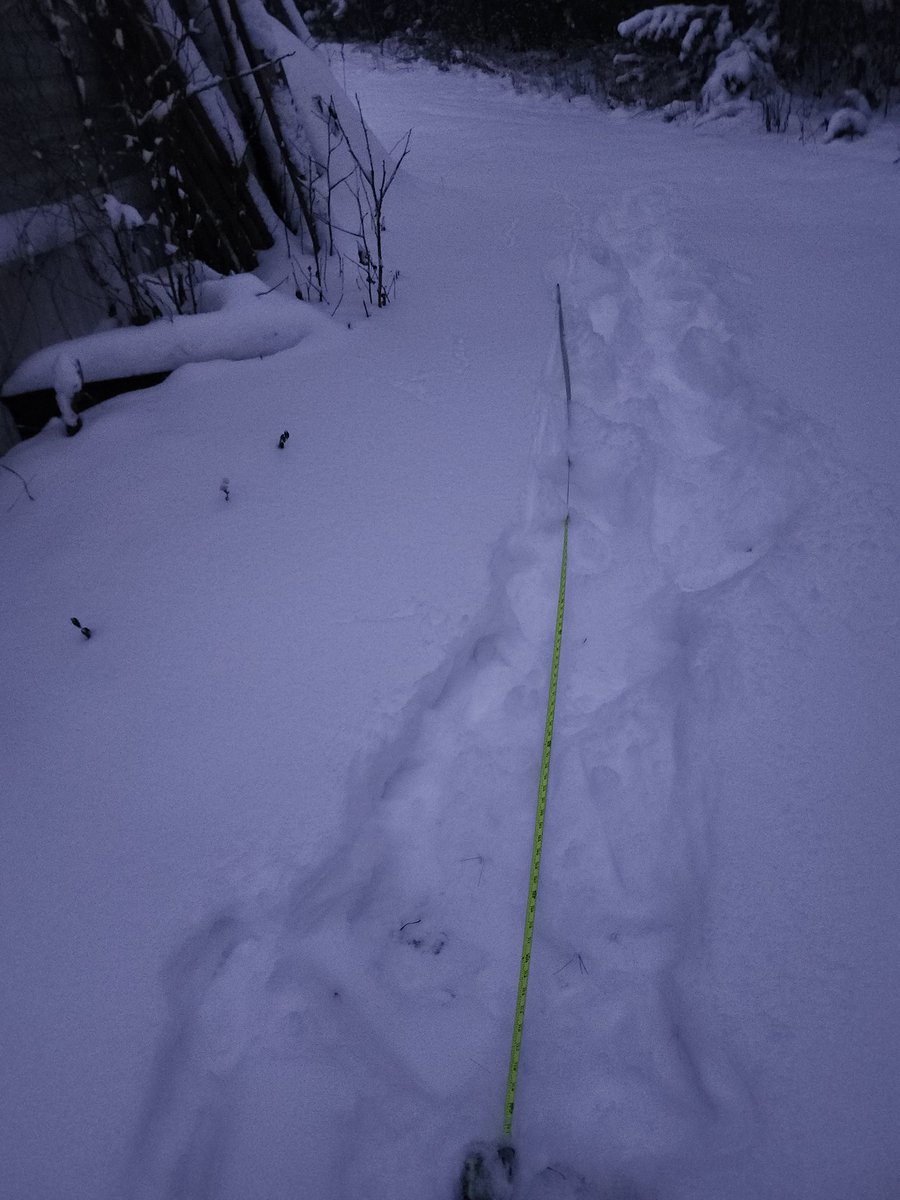 mark_twig's tweet photo. @wxbrad I have right at 16 feet! (measured from back to front) 🤣 https://t.co/8ZDeVzXSrL