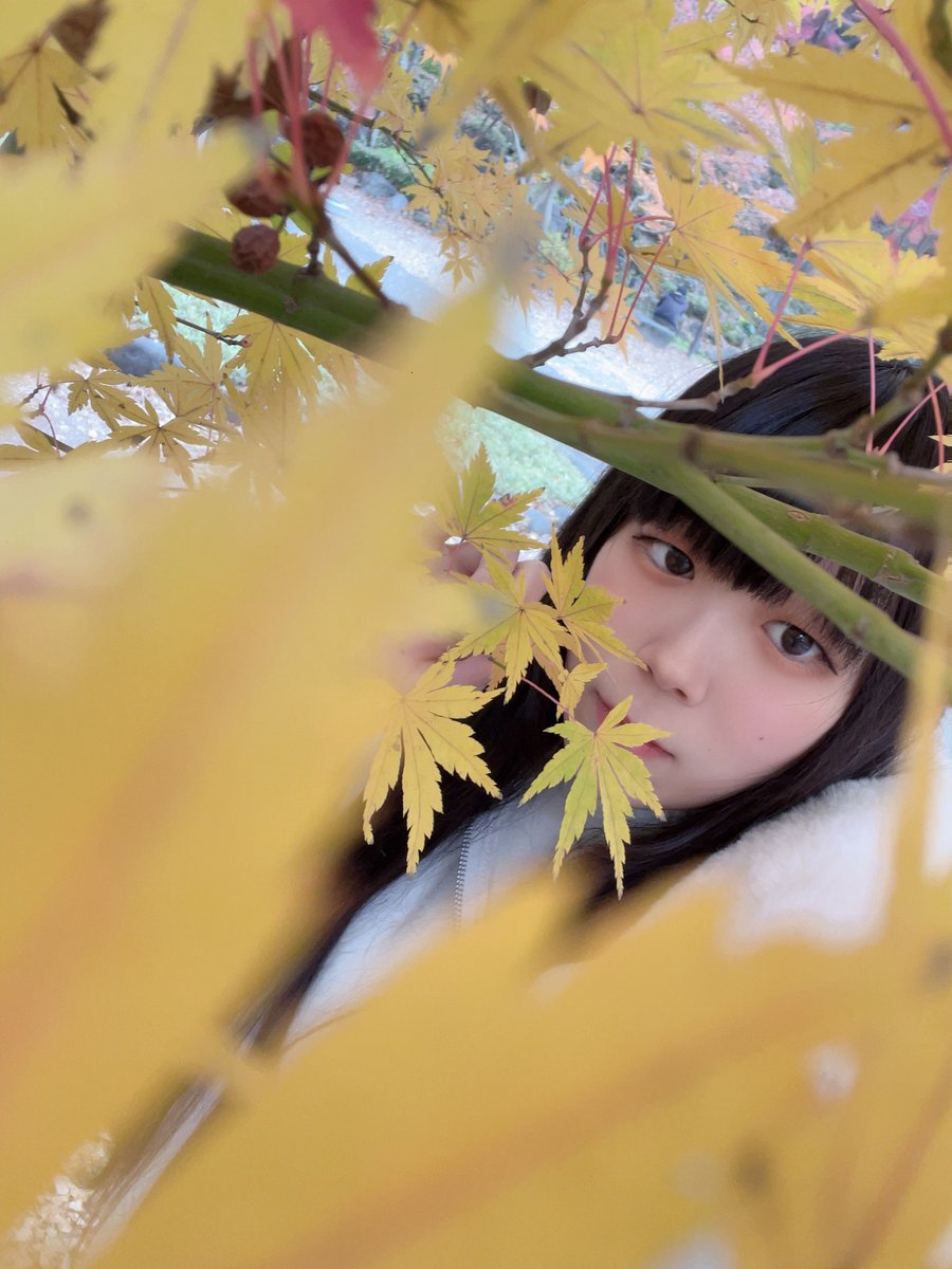 花咲 兎菜🐰💛 tweet media