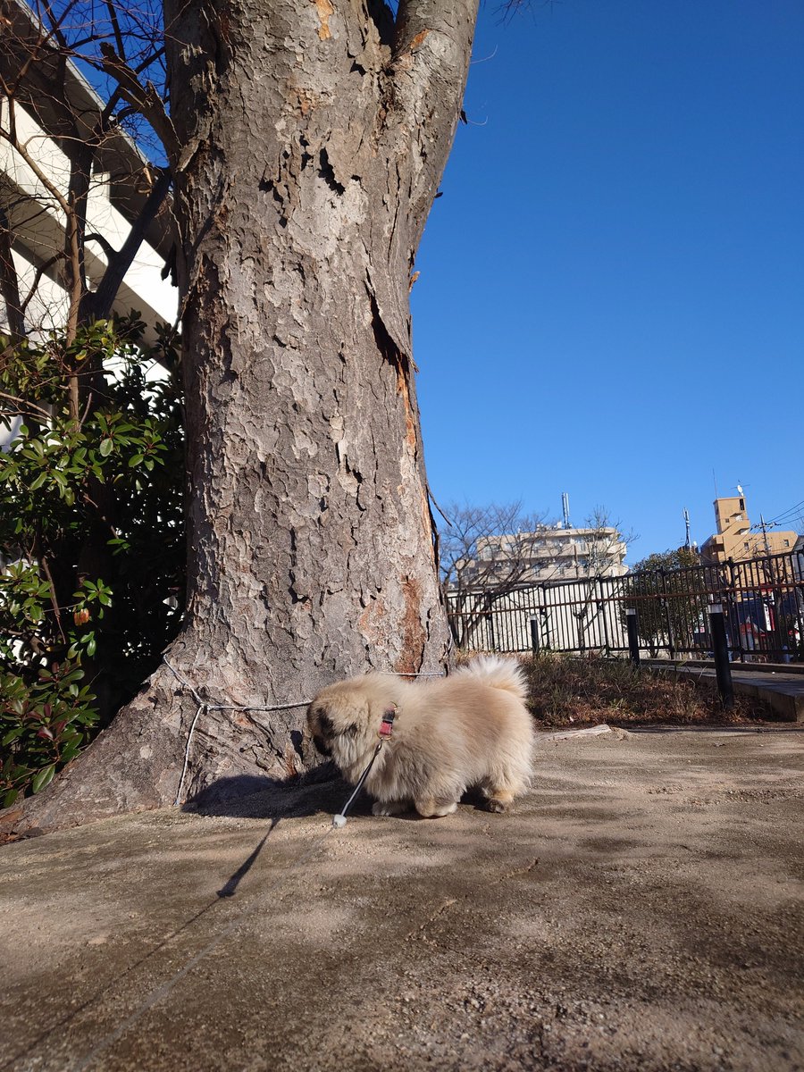 BURGHACK tweet media