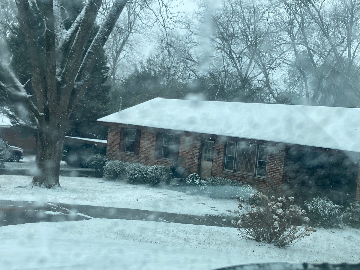 Everywhere I looked today looked like a <a href="/MythoAmerica/">MythoAmerica 🌲</a> post.