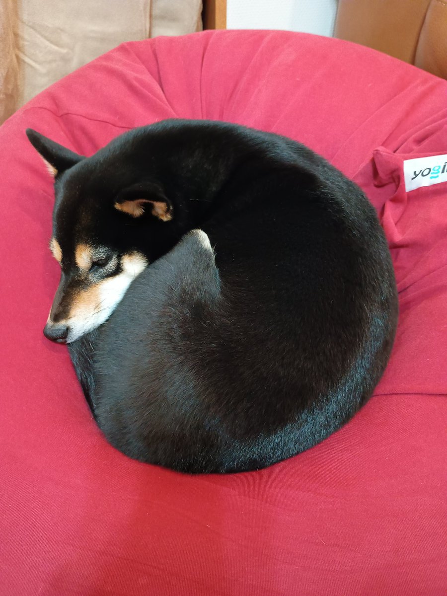 Ryo-1(ﾘｮｰｲﾁ) (@kRCxXQ95whwSOqI) / Posts / X