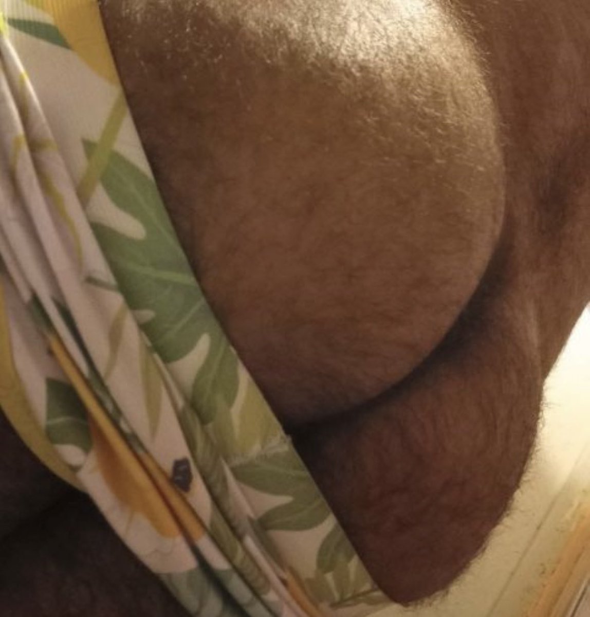 plainjaneatlw's tweet photo. #evaluaciongay #gay este guey me quiso coger pero no me deje aunque si tenía la verga rica y el culo bien peludo era un osito rico, solo se la mame y me la mamo https://t.co/mG7TRZ6Ef2