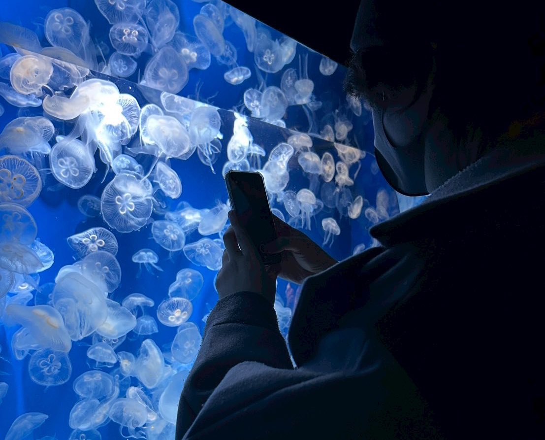 晴風えそら☀️💚 tweet media