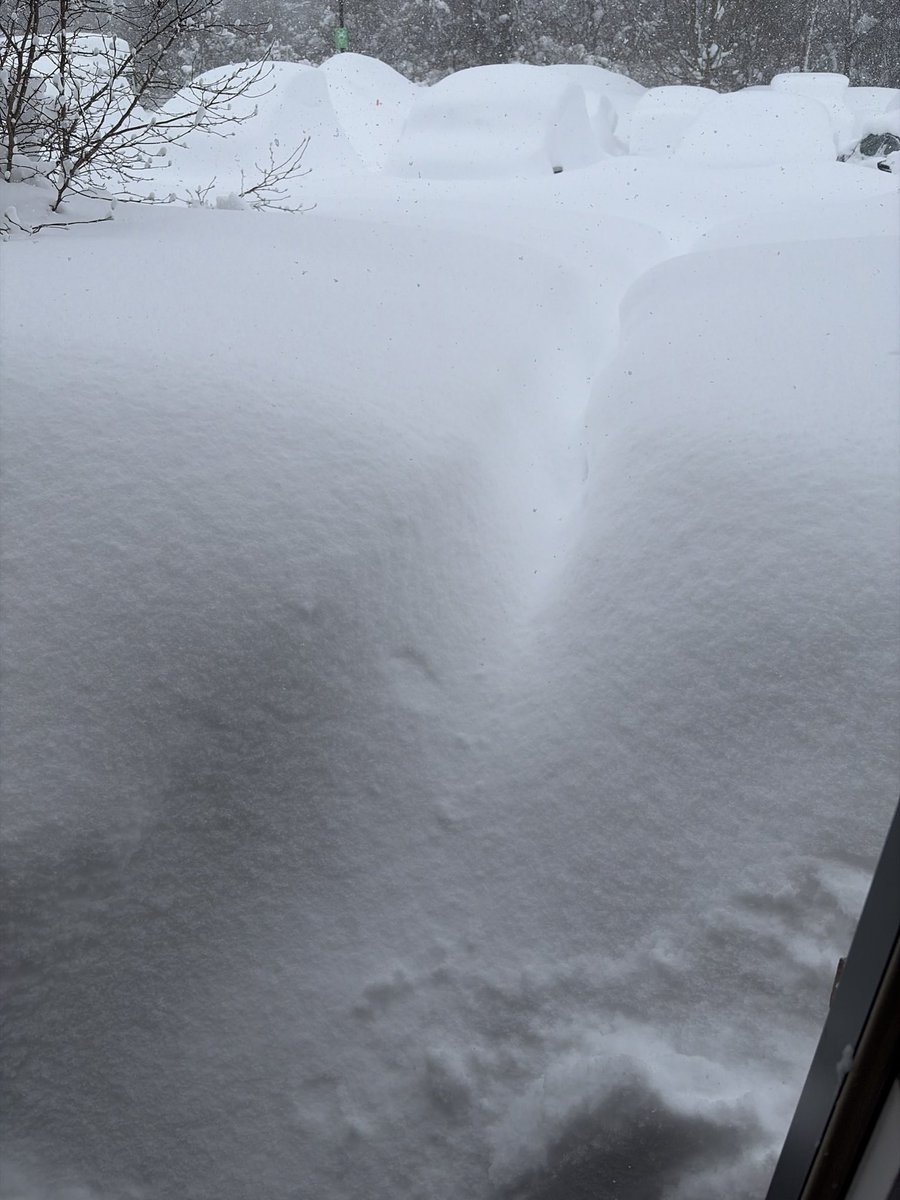 Kaitlin Farrell tweet media