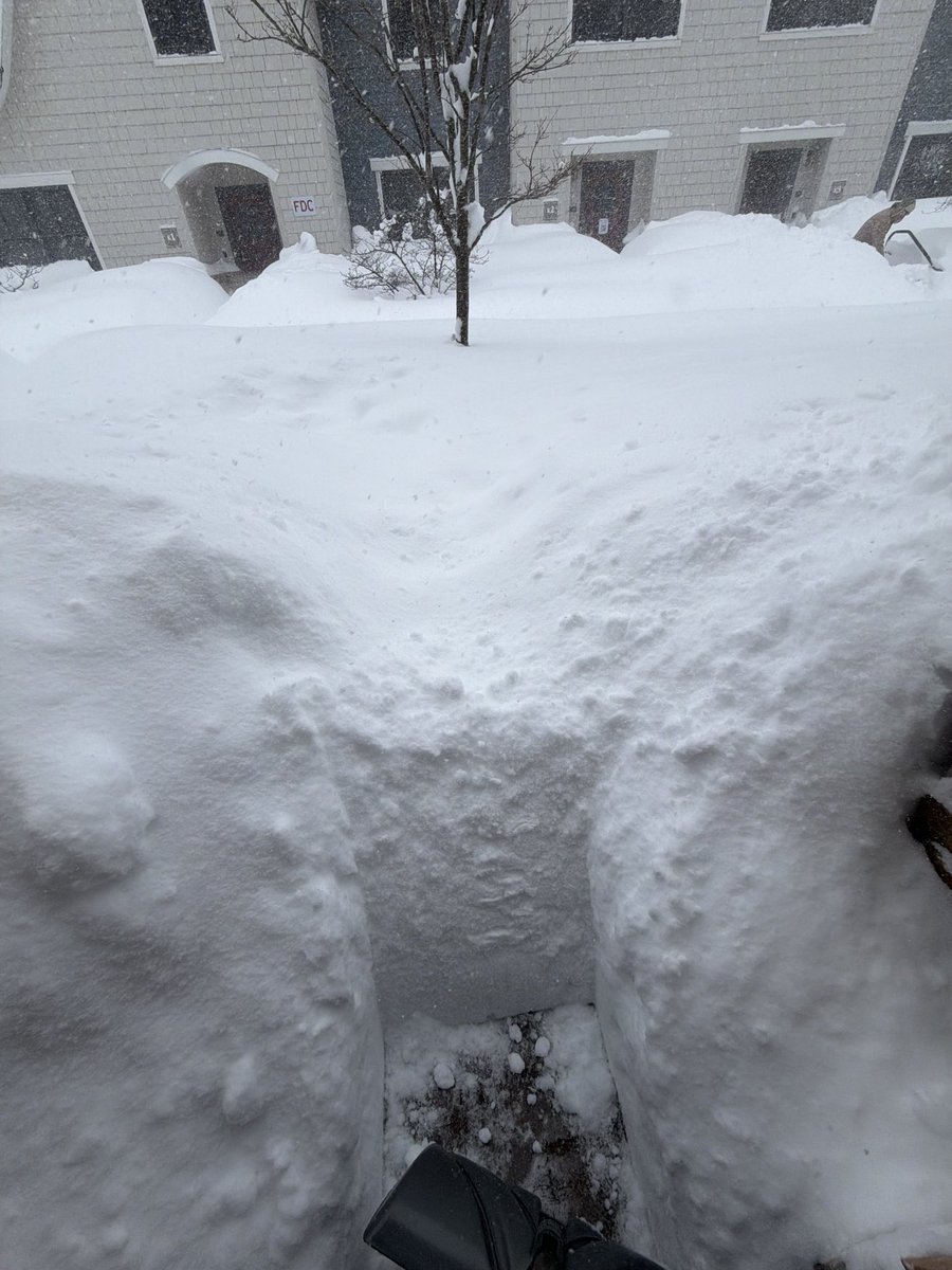 Kaitlin Farrell tweet media