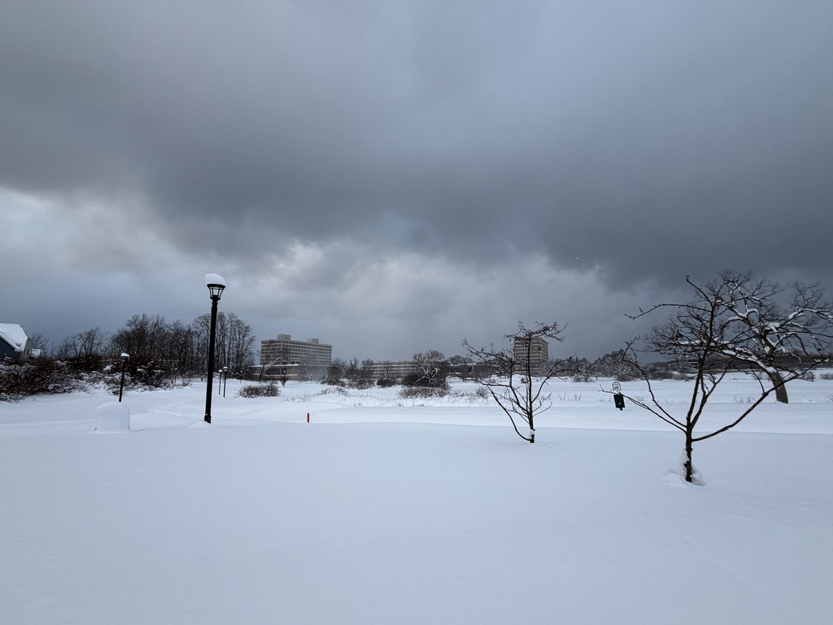 Kaitlin Farrell tweet media