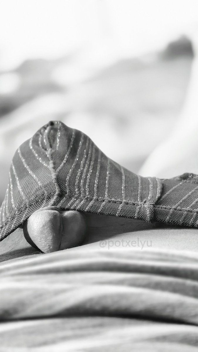 potxelyu tweet media