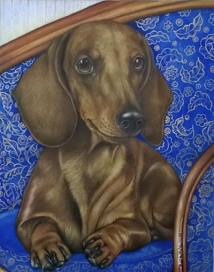r_penze's tweet photo. @kakabelaz Amo e desenho cãezinhos https://t.co/iG5PWUgW7h