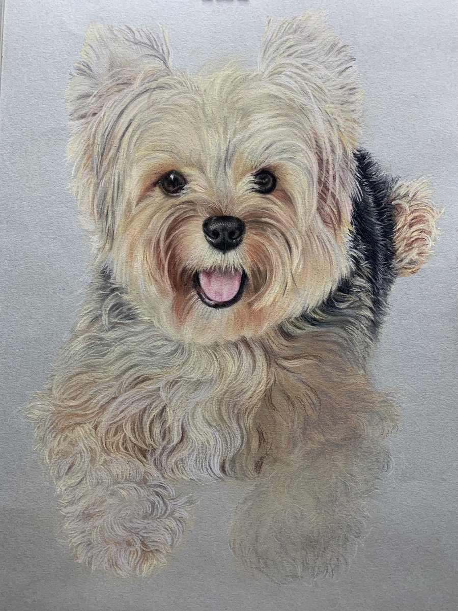 r_penze's tweet photo. @kakabelaz Amo e desenho cãezinhos https://t.co/iG5PWUgW7h