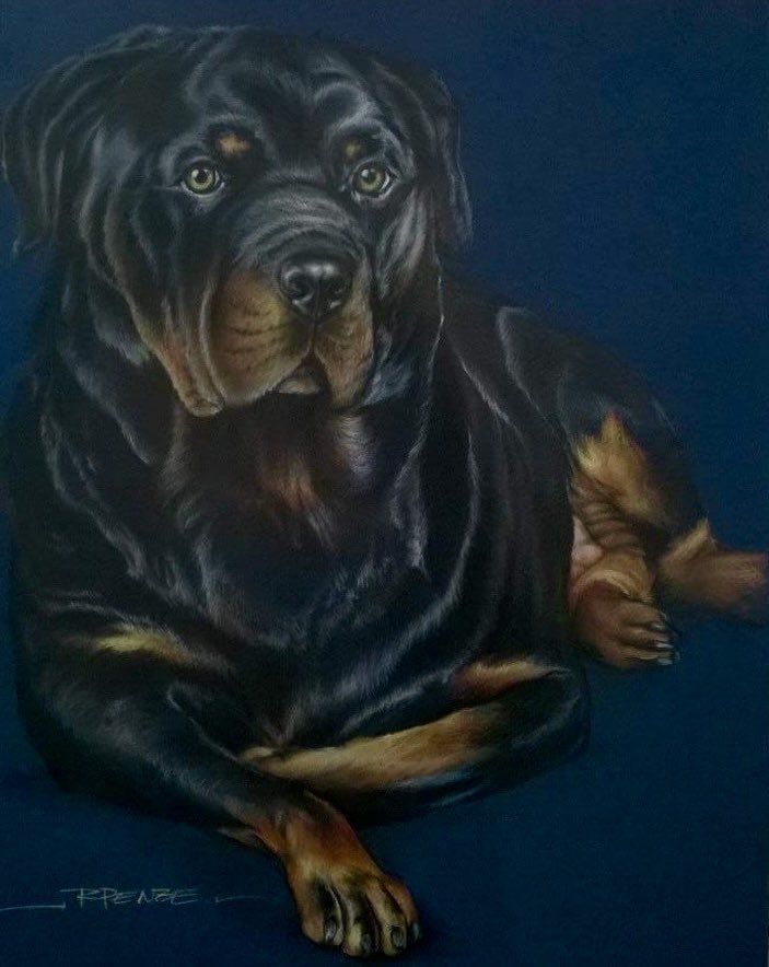 r_penze's tweet photo. @kakabelaz Amo e desenho cãezinhos https://t.co/iG5PWUgW7h