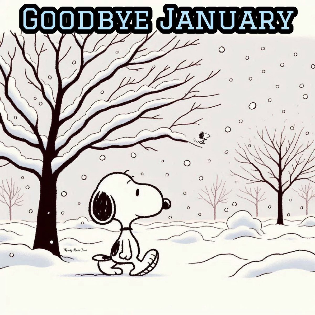 snoopyandfrien6's tweet image. GOODBYE JANUARY