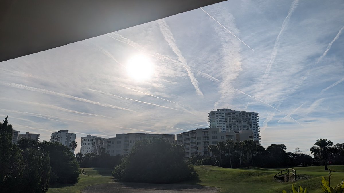 Katy The Savage tweet media