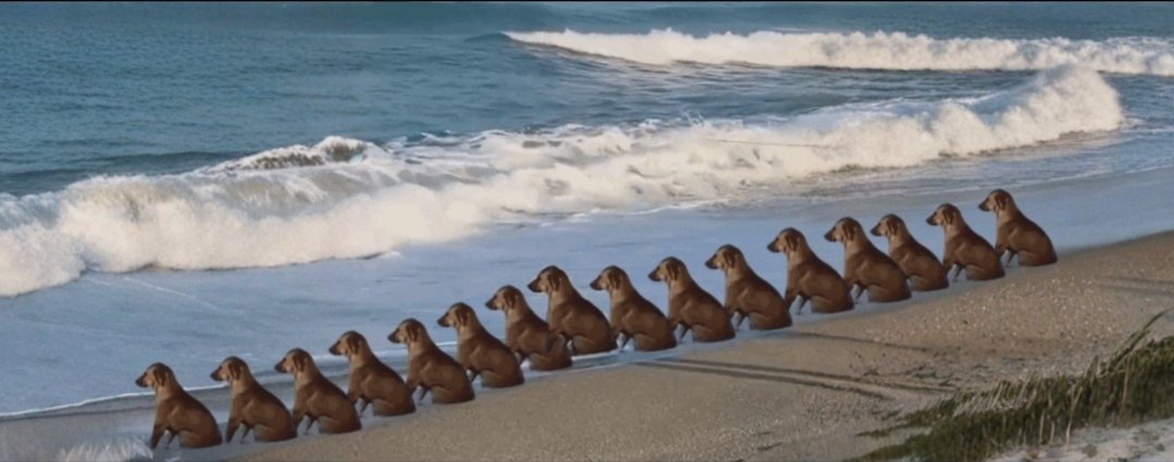 Dog In Pain $DIP tweet media