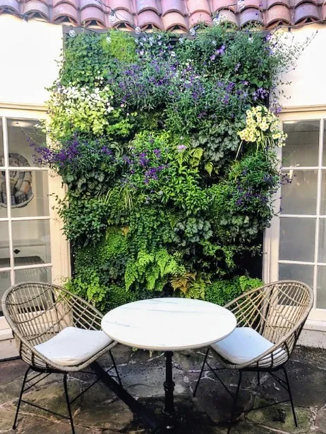 Florafelt's tweet photo. Adeline's delicate French living wall bursts with flowering perennials. The elegant simplicity of understated greens with violet and silver add a dash of sophistication to this intimate courtyard. Created with Florafelt Pocket Panels hung from hooks and automatic irrigation . https://t.co/fpHsoOFqXd