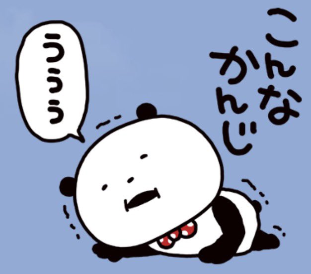 🐻KEN🐷 tweet media