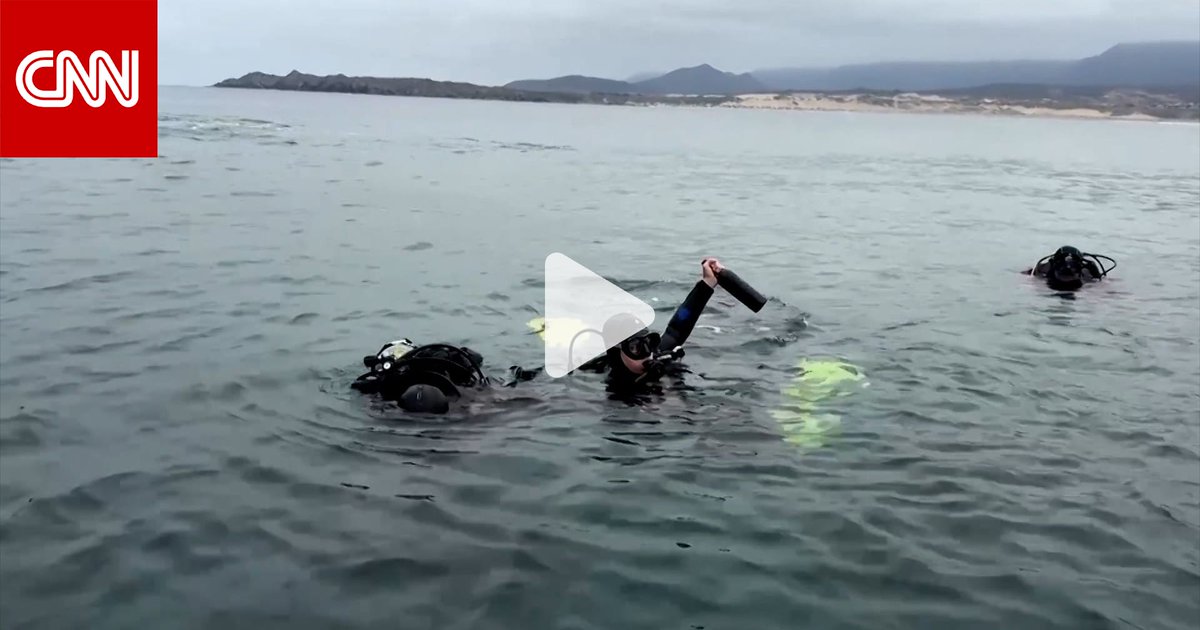 سياح يستخرجون زجاجات نبيذ فاخرة من أعماق البحر ضمن برنامج فريد لتعتيق النبيذ في أقبية تحت الماء 