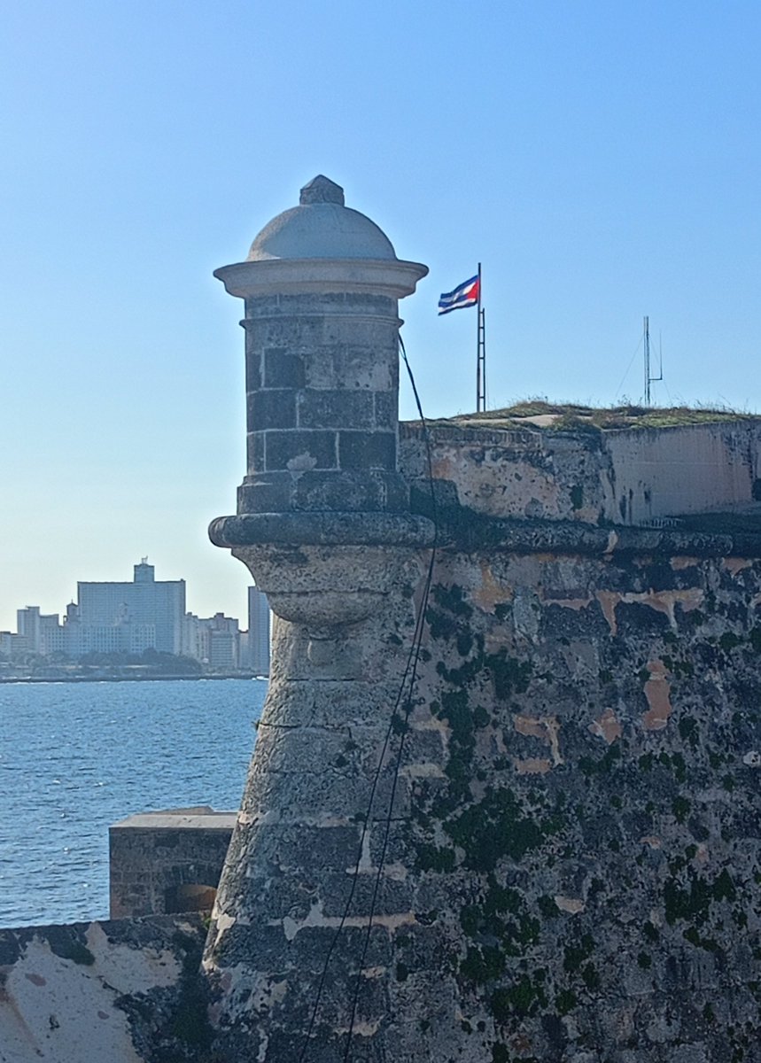 Gerardo Hdez. Nordelo tweet media