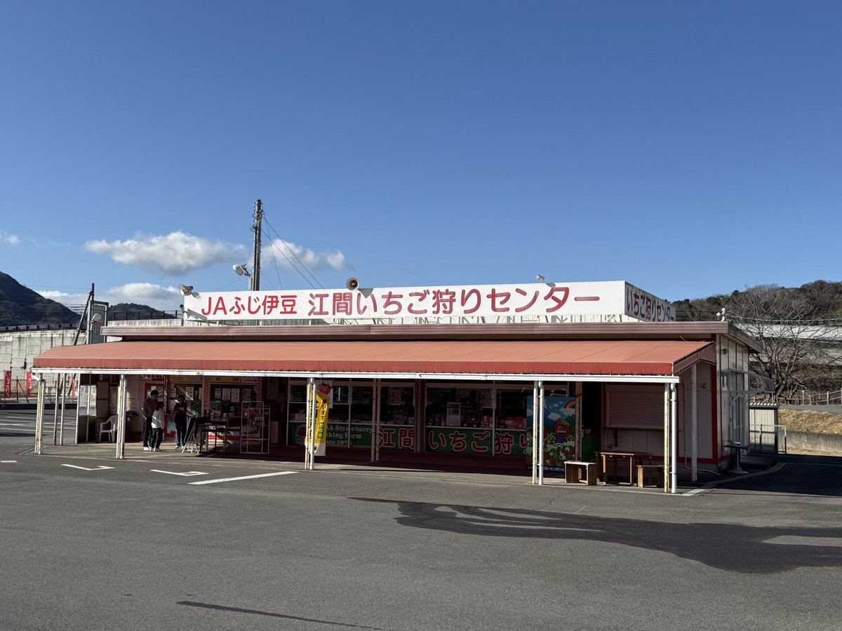 hiko_gsf's tweet photo. 今日は仕事でうちのアーティストの伊豆バスツアーに同行。
苺狩りなんて何年ぶりでしょう。
めちゃ美味しかったけどそう沢山は食べれないなー💦 https://t.co/ppMPIDKWeB