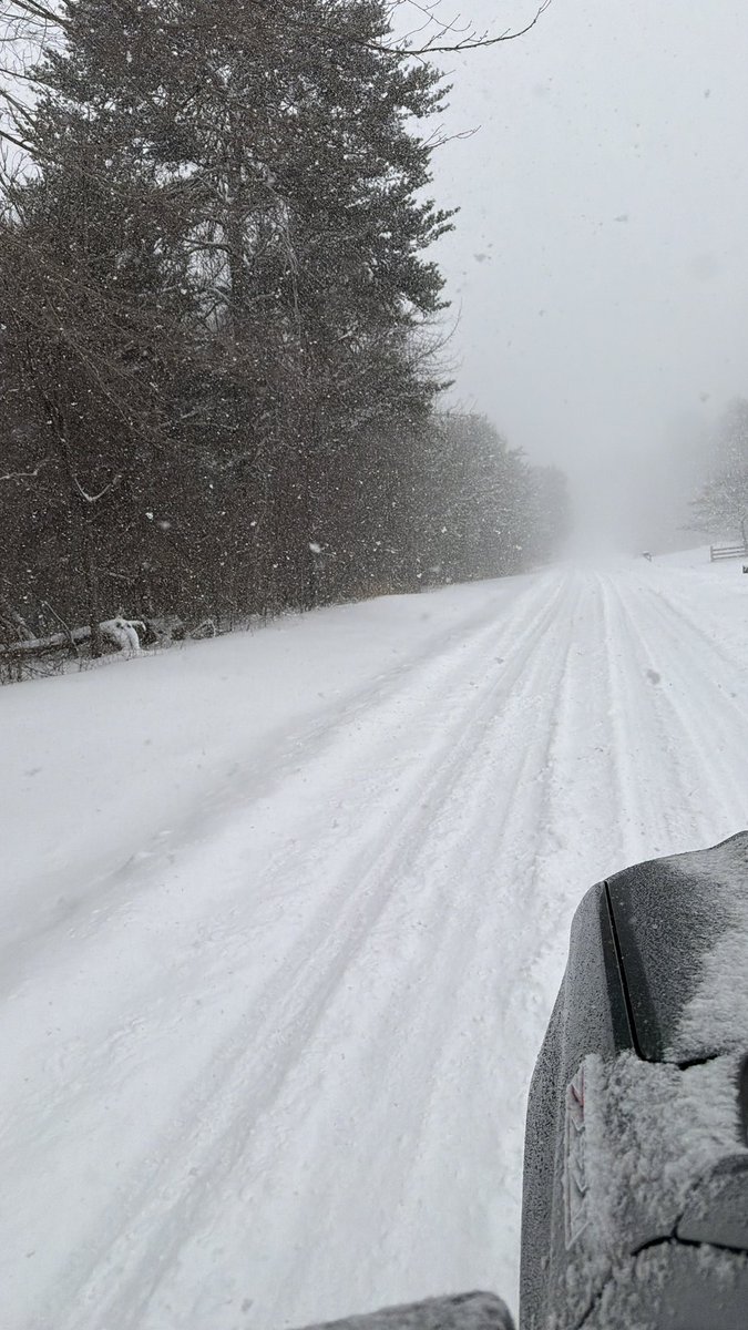 LinemanSafety's tweet photo. @dogwoodblooms Here in Statesville earlier, but still falling. https://t.co/b11SYwQpCf
