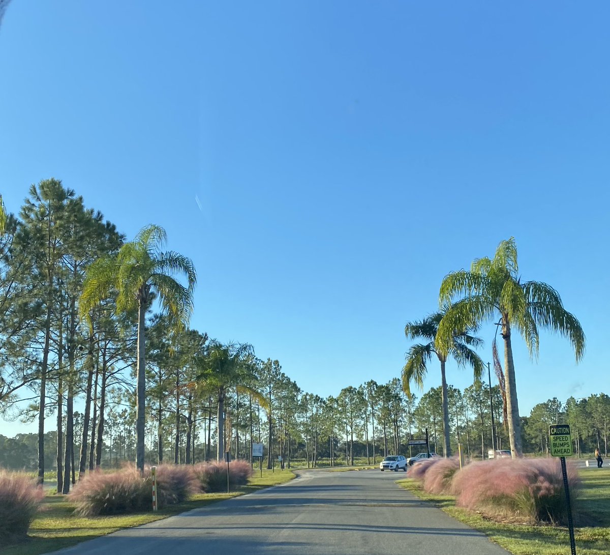 Cole_Smith471's tweet photo. Committed to Warner University in Florida to continue my academic and athletic journey! Thank you to @WarnerUBaseball and @Addy_Rouse for this great opportunity! #Florida #GoRoyals #Warner #LakeWalesFL https://t.co/NzE0y0QxbS