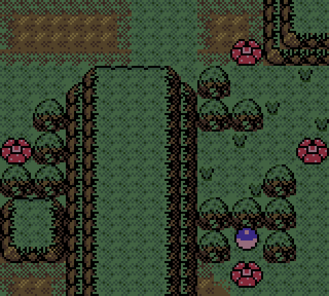 coraldev tweet media