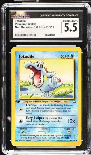 Totodile King tweet media