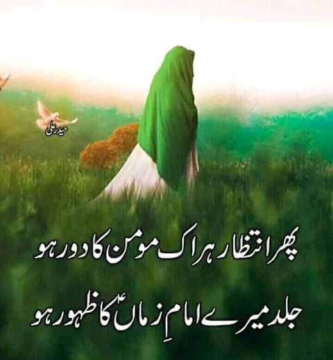 Firdous Ali (@hajifirdousali) on Twitter photo 