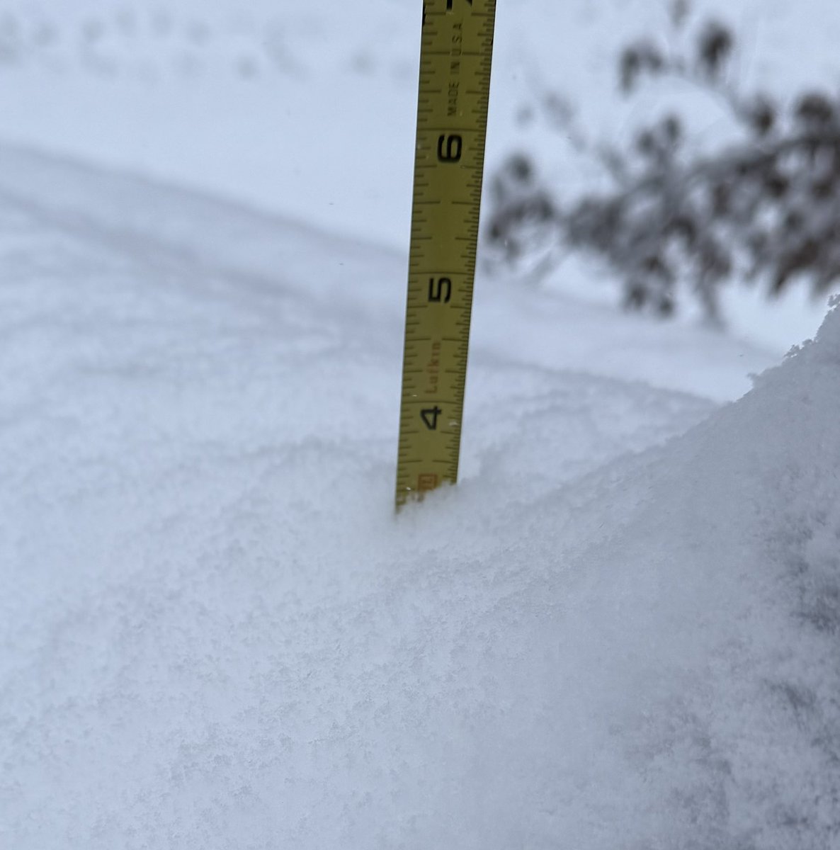 DutchForkTiger's tweet photo. @SCweather_wx Literally had 3 1/2 near Dutch fork high earlier this afternoon and it hasn’t stopped yet https://t.co/aHUx1GPvSd