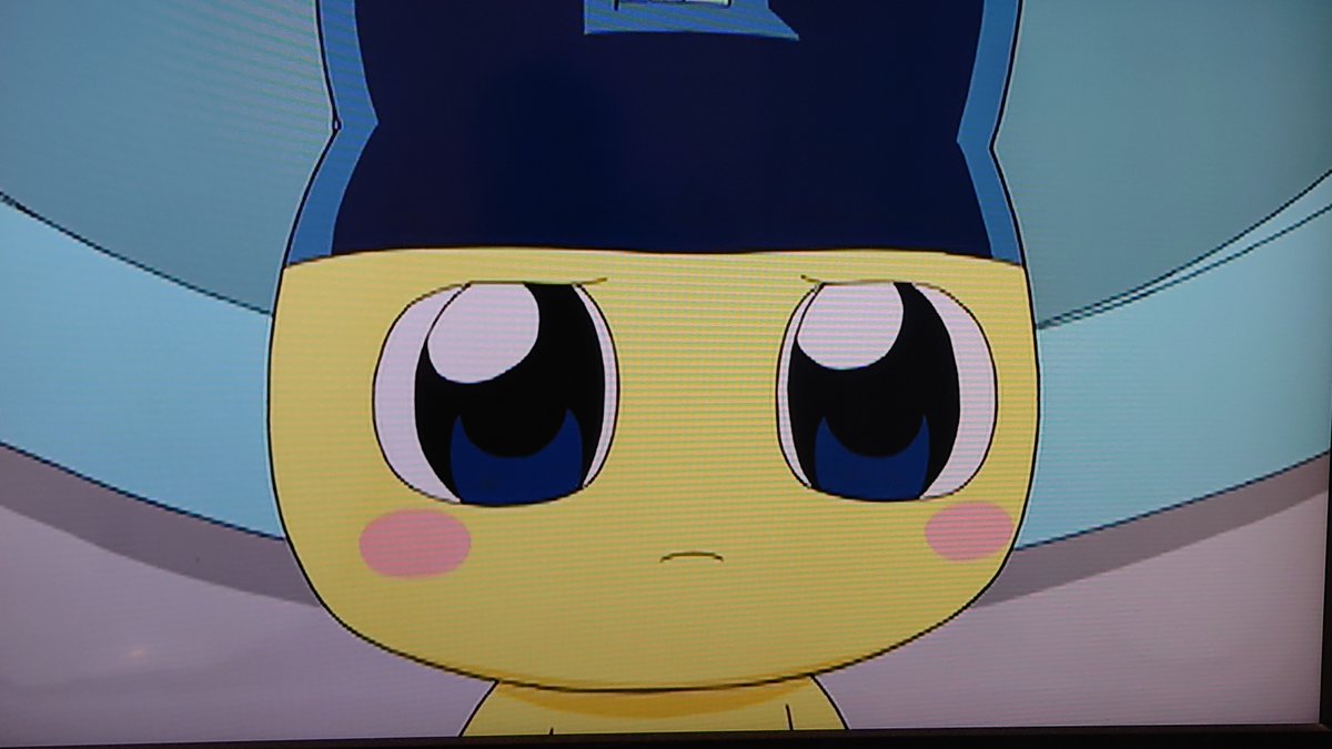 まめっち「あと一週間・・・」