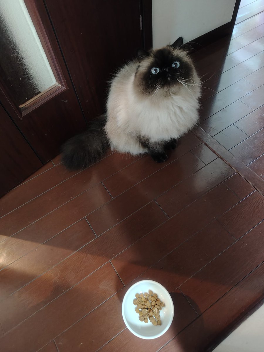 むぎ (@Mugi_is_No1) / Posts / X