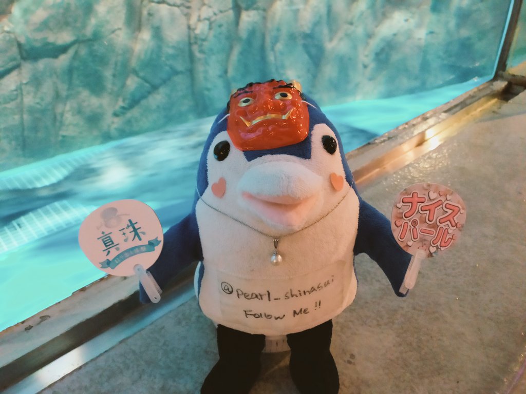 しながわ水族館🦪真珠取り出し体験⚪✨ (@pearl_shinasui) / Posts / X